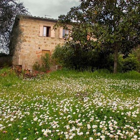 La Vigna Agriturismo Villa Siena Exterior photo